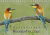  Europäische Bienenfresser (Tischkalender 2017 DIN A5 quer): Faszinierende Portraits von Deutschlands farbenprächtigstem Vogel (Monatskalender, 14 Seiten ) (CALVENDO Natur)