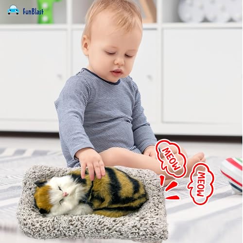 Image of FunBlast Cute Sleeping Cat Plush Toy with Meow Sound, Gift for Kids, Toy Accessories for Car Dashboard (Brown+Black)