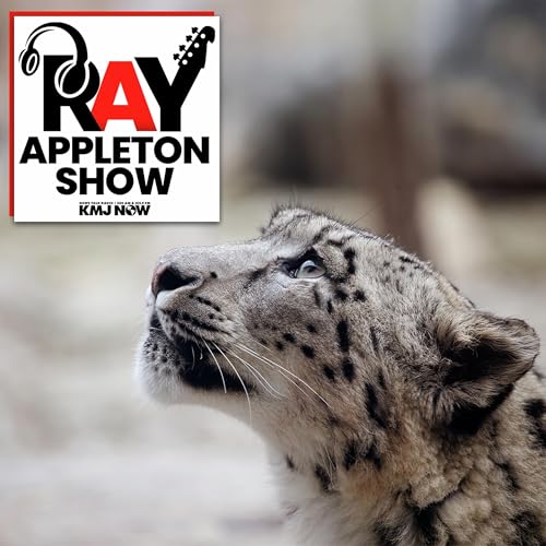 New Faces: An Update From Project Survival Cat Haven