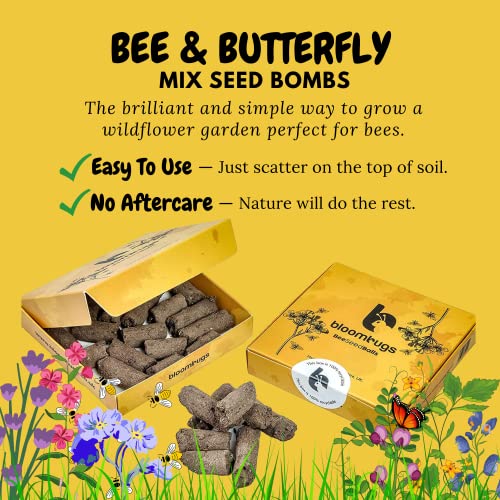 Handmade Wildflower Seed Bombs for Bees & Butterflies - 26 UK Species - Image 3