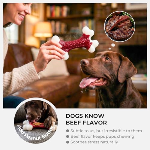 Kseroo Indestructible Dog Toys for Aggressive Chewers: Beef Flavored Hard Nylon Bone Chew Toys for Medium Large Breed Dogs (20-90 lbs), Red