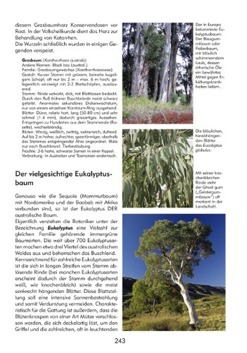 Bäume. Eine Reise durch Zeiten und Kulturen: Geschichte, Mythologie, Märchen, Brauchtum, Nutzen, Botanik