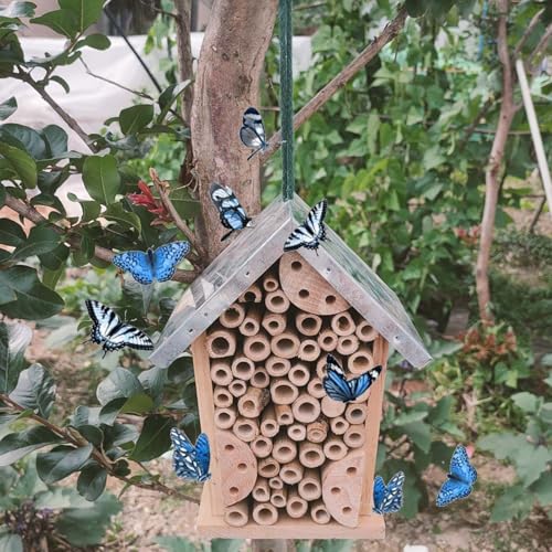 Maison d'abeilles en bois noble, boîte à nidification décorative - 8