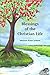 Blessings Of The Christian Life (Volume 2)