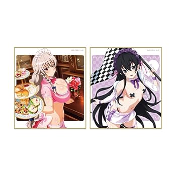 ハイスクールD×D ミニ色紙 vol.1 vol.2 10個入りBOX セット ハイスクールD×D HERO トレーディングミニ色紙 vol.1 (10個