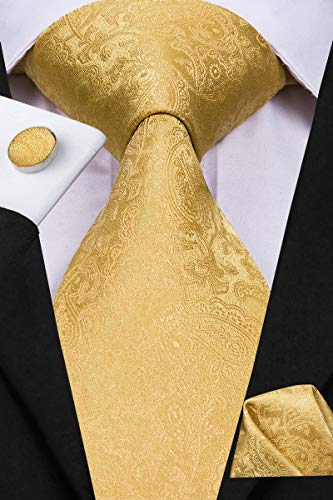 Dubulle 3Pcs Tie Set For Men Silk Mens Necktie And Lapel Pin Set Pocket Square Cufflinks Gift Box #TOP4