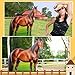 Marsui 6.3 ft Horse Cardboard Cutout Stand up Life Size Western Party Photo Booth Props Decorations Farm Animals Standup Cutout for Horse Racing Party Decor Derby Day Rodeo Theme Events Supplies