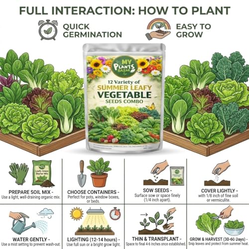 Image of 12 Variety Summer Leafy Veg Seeds Combo Pack | High Germination Non-GMO Organic Seeds for Home Gardening | Spinach, Lettuce, Kale & More | Balcony, Terrace & Kitchen Garden Kit