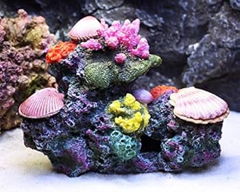 シャコガイ 貝殻 オウギガイ 置物 玄関 アクアリウム 水槽 庭 鉢 観葉植物 シャコガイ 貝殻 オウギガイ 置物 玄関 アクアリウム 水槽 庭 鉢