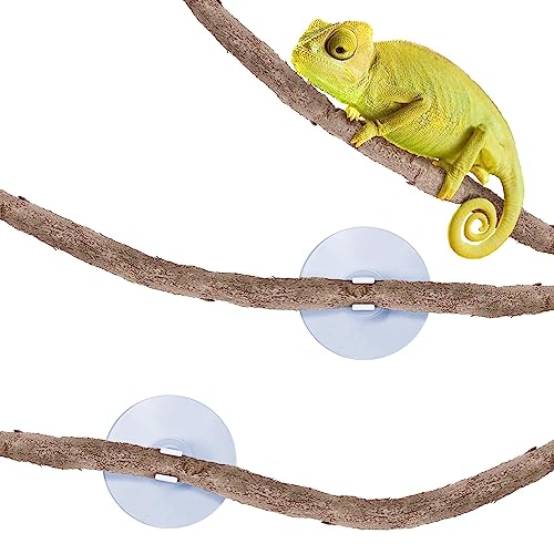 Vigne de reptile SunGrow pour accessoire terrarium et python