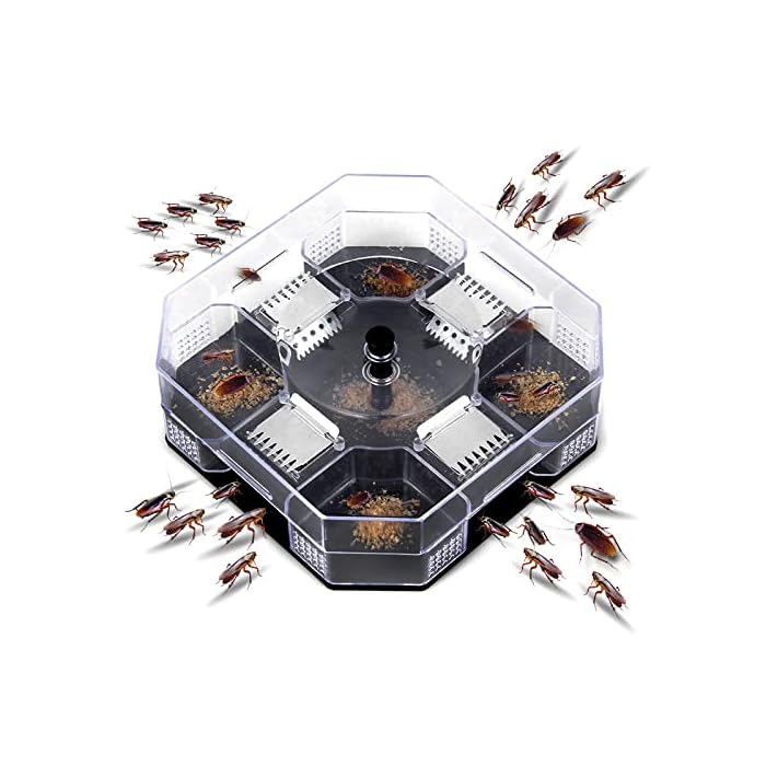 Buy Echden Cockroaches Killer,Physical Capture Large Automatic Ant