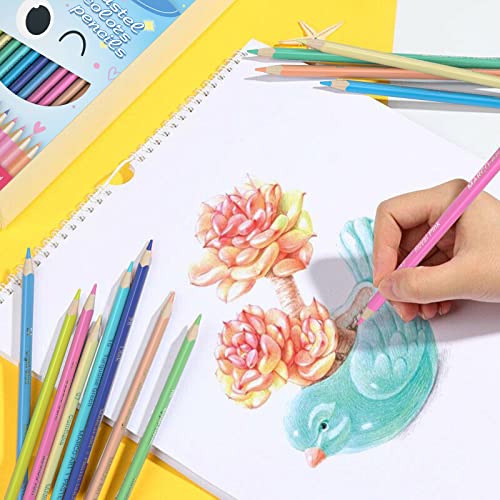 Pastel Colors Colored Pencils Marco-Art 12 Count Set In Box; 2B Hardness, Professional Drawing Supplies For Kids, Adults, Artists; Coloring Oil Pencil For Art, Sketching, Drawing… #TOP4