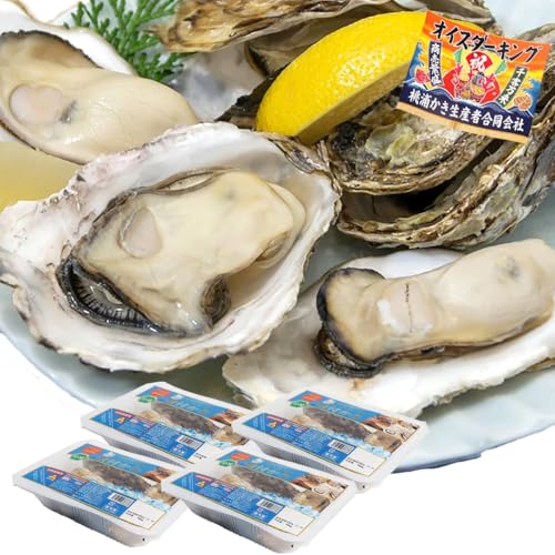 VIVID LIFE 牡蠣 レンチン 500g×4 冷凍 大中サイズ 12?24個 宮城県産 三陸 レンジ かき カキ kaki 海鮮 おかず 時短
