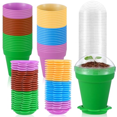 FoldTier 50 Set Cupcake Plant Nursery Pots with Humidity Dome