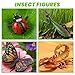 SCAHOW 12 PCS Fake Bug Toys for Kids, Plastic Bugs Animal Figures Halloween Party Favor Cake Topper Insect Figurines