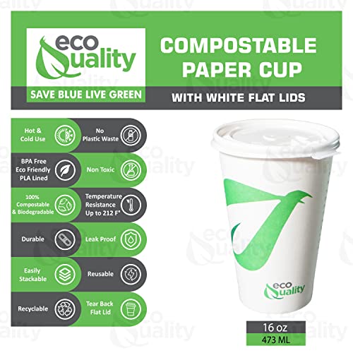 16 oz Compostable Paper Cups with White Flat Lids - Biodegradable Disposable White Paper Coffee Cups PLA Lined - Eco-friendly Hot and Cold Drinking Cups (25) - Image 3