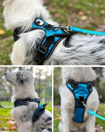 Joytale Dog Harness Small Dog No Pull Harness for Dogs with 2 Clips - Image 4