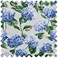 Hydrangea