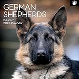 The Gifted Stationary - Calendario de pared cuadrado 2026, pastores alemanes, calendario colgante de 16 meses con 180 calcomanías recordatorias, planificador mensual para el hogar o espacios creativos