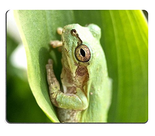 WYRUJYU Mousepad IMG 0885 Caucho Natural Material