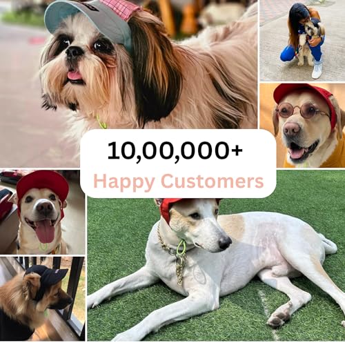 Image of Dog-O-Bow Panda Print Baseball Cap for Dogs | Stylish, Durable & Comfortable Cap (Small)