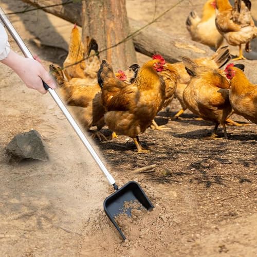 Ramasse-crottes pour poules à 3 têtes interchangeables et manche réglable - 7