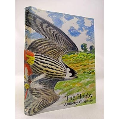 The Hobby