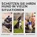 BRONZEDOG Maulkorb für Pitbull Hund aus atmungsaktivem Metallkorb für große Hunde wie Amstaff und Staffordshire Terrier – mit Nylonriemen – gegen Beißen, Kauen und Bellen