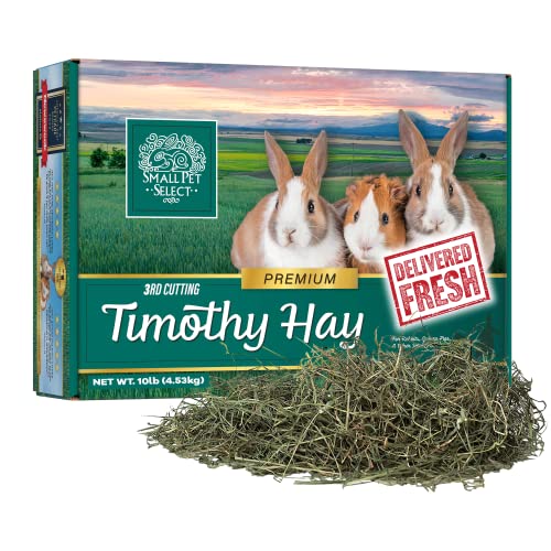 Small Pet Select 3rd Cutting Super Soft Timothy Hay Pet Food for Picky Eaters, Rabbits, Guinea Pigs, and Other Small Animals, Easy to Store Box, 10 LB