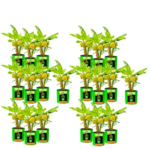 Image of Kingwell grow bags 24X24 inch pack of 20 For Terrace Garden Vegetable Plant Grow Bags Fruits Growing Containers For terrece Gardening