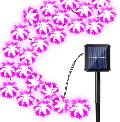 HULUBO Guirnalda de luces solares impermeables de 16.4 pies, 20 luces LED solares para exteriores, para jardín, patio, valla, patio, árbol de Navidad, decoración de fiesta de boda (morado, 22.9 pies
