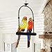 efperfect Parrot Pendant Lighting Stained Glass Vintage 2-Light Birds Lamp Chandelier for Art Decor Ceiling Light Fixtures Hanging Pendant Light for Dining Living Room Bedroom Cafe Bar Studio