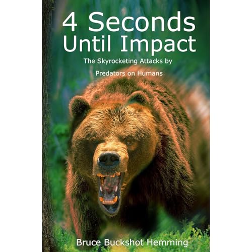 4 Seconds Until Impact by Bruce Buckshot Hemming episode artwork