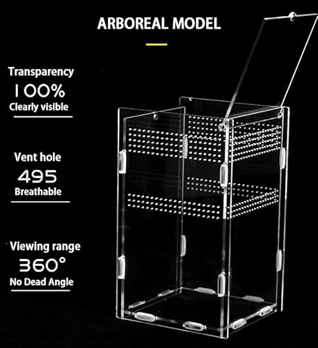 TEMU-SC Mini tanque de terrários de acrílico para répteis, caixa de tarântula, gaiola camaleão, gaio