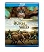 IMAX: Born to Be Wild [Blu-ray]