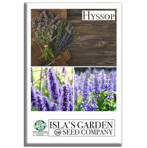 Hyssop Seeds (Hyssopus officinalis) – 1500+ Non-GMO & Heirloom Seeds by Isla’s Garden Seeds, Aromatic Herb with Blue Flower Spikes, Attracts Pollinators, Ideal for Tea & Borders, Great Gardening Gift