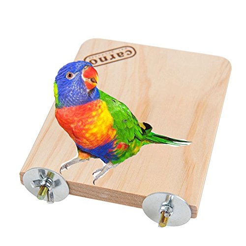 Image of Hypeety Wooden Platform Pet Dwarf Hamster Gerbil Rat Small Animal Sport Exercise Toy Pet Parrot Bird Cage Perches Square Toy (M)