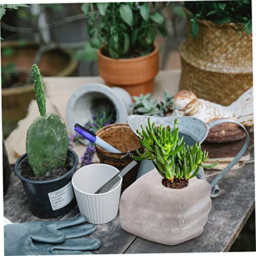 Décoration pour maison originale : le pot de fleurs ifundom - 6