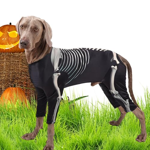 Genérico Disfraz para Perros pequeños | Disfraz De Esqueleto para Perro | Mono Mascota para Uso Diario Celebraciones Reuniones Viajes Cosplay Exteriores Hogar