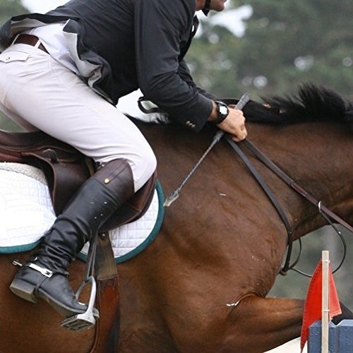 Intrepid International Equestrian Jump Bat #TOP7