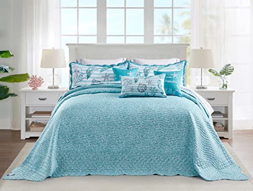 Image of HZ & HY Coastal Oversized King Bedspread, Reversible Beach Pattern Quilt Set King /Cal King, Lightweight Coverlet, Scalloped Edge - Seashell Coastal Look, 6 Piece, Shell
