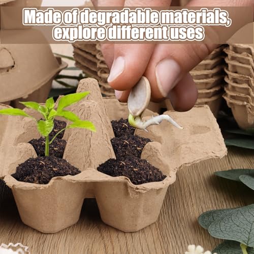 APACALI 50 Stück Eierkarton 6er Eierkartons, Eierschachtel 6er pappe mit Deckel, Eierkarton mit Verschluss, Eierschachteln Pappe, Eierkarton Pappe für Eier