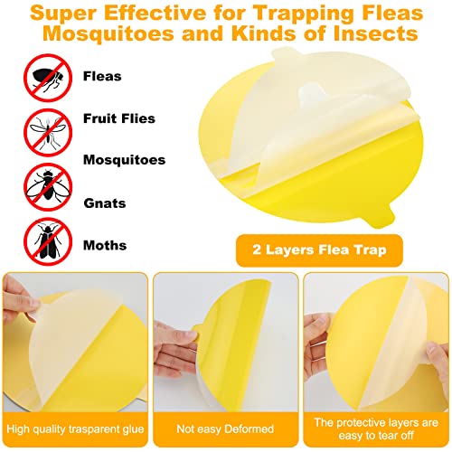 12 Pieces Flea Trap Replacements Glue Discs 2 Layers Dome Glue Board Replacement Pads, Non Toxic, 7.1 Inch Natural Glue Discs Refills For Pest Control Flea Trap #TOP2