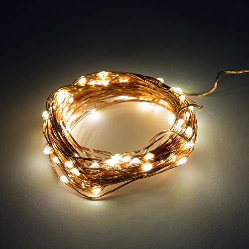 Hometown Evolution, Inc. Warm White LED Fairy Lights - Plug in - 16.5 Foot 50 LED Micro Lights on...