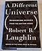 A Different Universe: Reinventing Physics from the Bottom Down