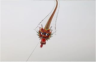 Beach Kite 16m Soft Stunt Kite, 3D Dragon Kite, Games Outdoor Fun Large Dragon Kite Long Centipede Kite Flying Toys Kite Toys