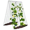 Metal Cucumber Trellis FoldableGarden Trellis for Climbing Outdoor PlantsTomato Plant SupportGreen Bean TrellisVegetable TrellisZucchini TrellisPlant Holders for Outside 1