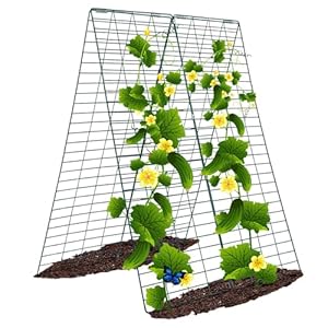 Metal Cucumber Trellis Foldable,Garden Trellis for Climbing Outdoor Plants,Tomato Plant Support,Green Bean Trellis,Vegetable Trellis,Zucchini Trellis,Plant Holders for Outside (1) Metal Cucumber Trellis FoldableGarden Trellis for Climbing Outdoor PlantsTomato Plant SupportGreen Bean TrellisVegetable TrellisZucchini TrellisPlant Holders for Outside 1