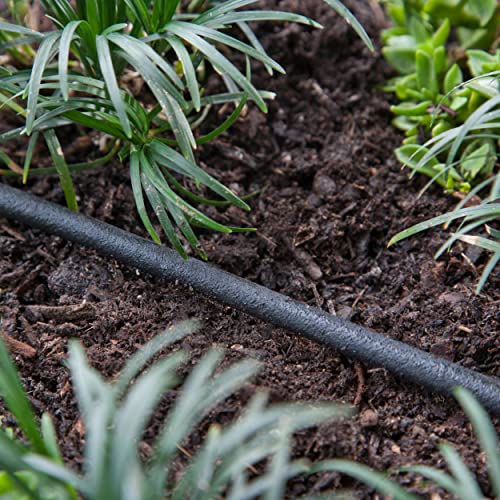Raindrip 015005T 1/4-Inch by 50-Foot Soaker Hose Tubing for Drip Irrigation, Use in Vegetable Garden, Planters, and Borders, 50-Foot, Black - Thumbnail 3