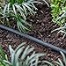 Raindrip 015005T 1/4-Inch by 50-Foot Soaker Hose Tubing for Drip Irrigation, Use in Vegetable Garden, Planters, and Borders, 50-Foot, Black